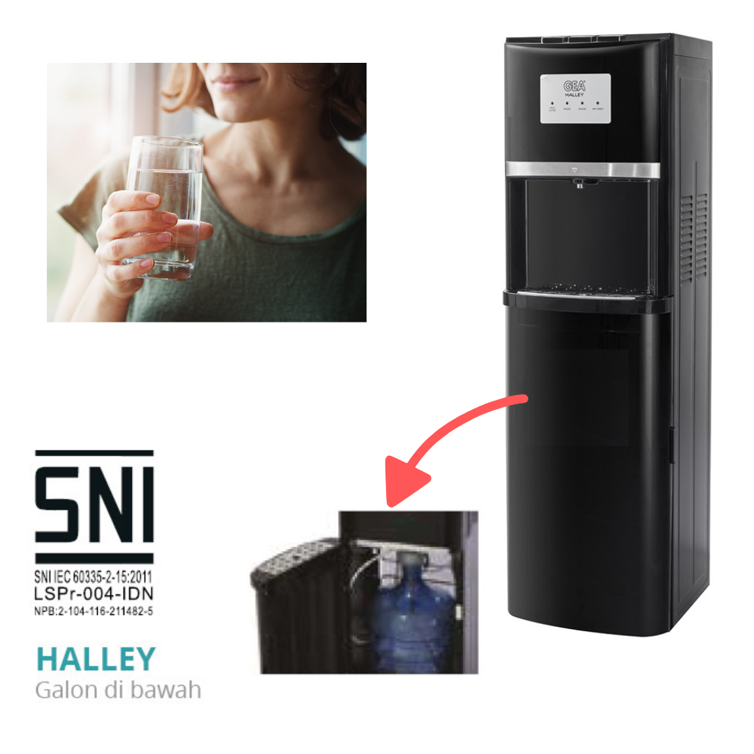 Water Dispenser HALLEY